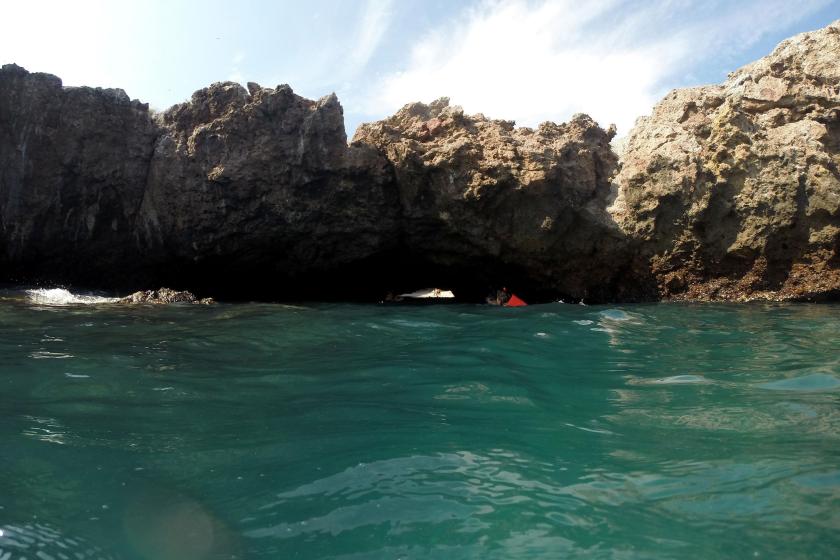 Investigadores del CUCosta duplican superficie de corales restaurados en Islas Marietas