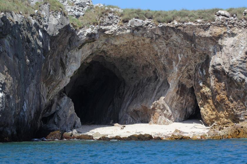 Investigadores del CUCosta duplican superficie de corales restaurados en Islas Marietas
