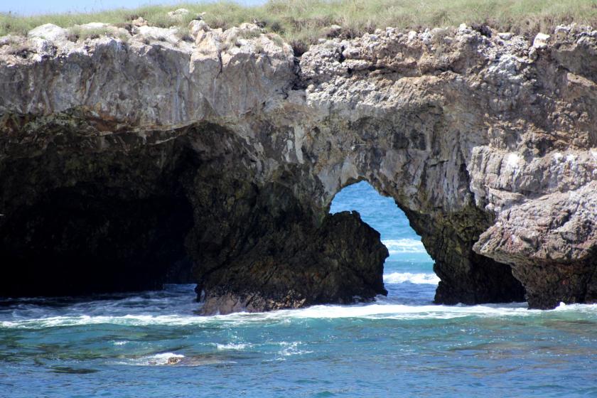 Investigadores del CUCosta duplican superficie de corales restaurados en Islas Marietas