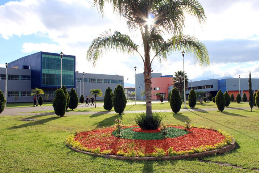 Centro Universitario del Sur