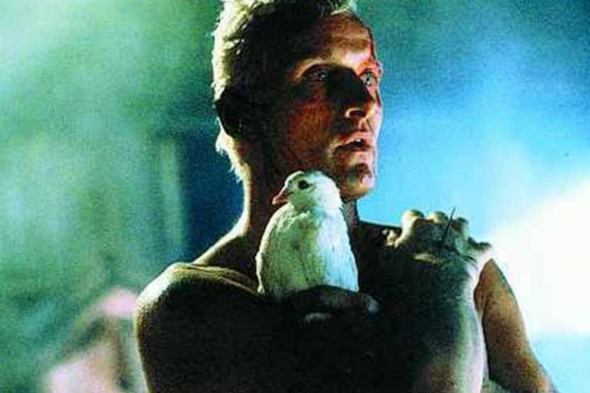 Escena de la pelicula Blade Runner