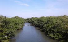 Buscan preservación del estero El Salado con registro de su paisaje sonoro