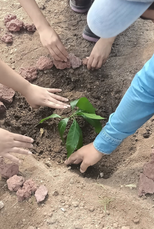 Proyecto Sostenibilidad 2